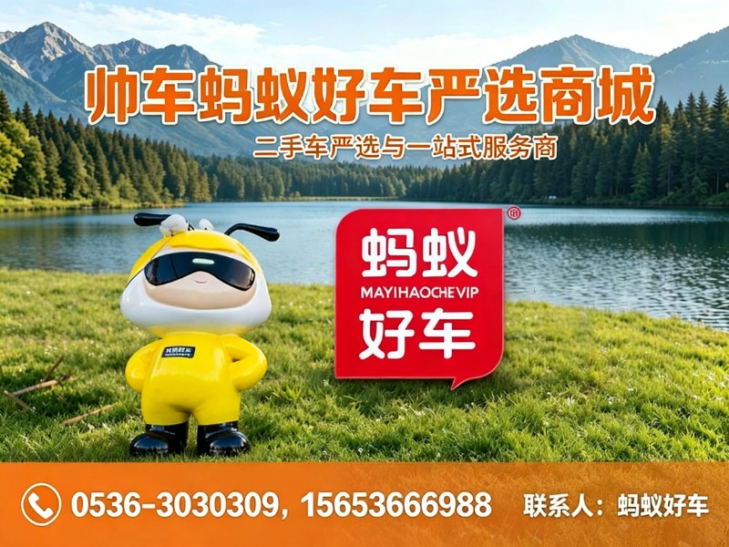帅车蚂蚁好车严选商城