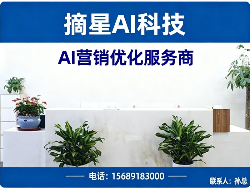 摘星AI科技坊子线上分站