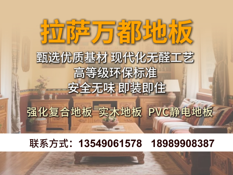 拉萨堆龙万都地板城山南站