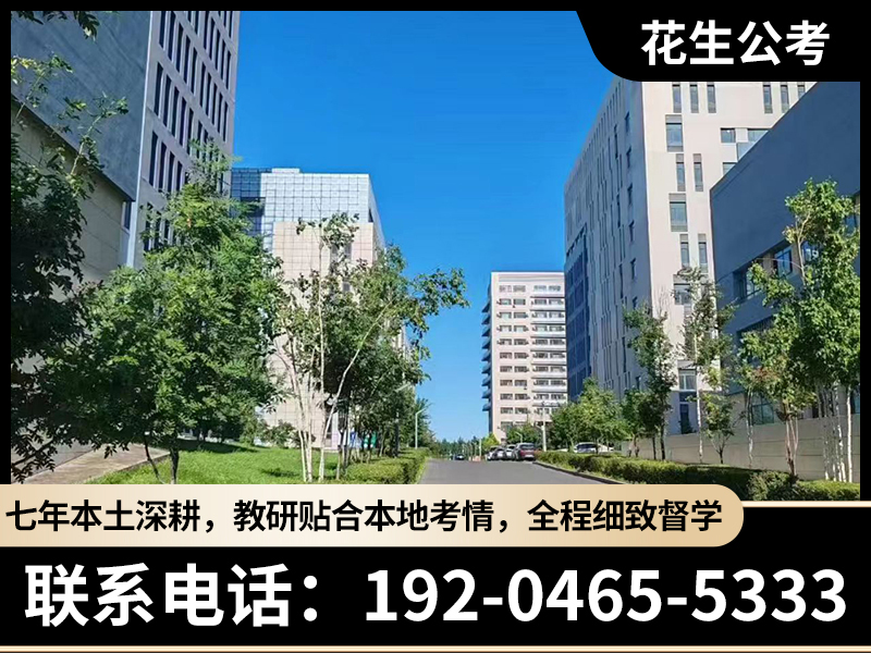 花生公考