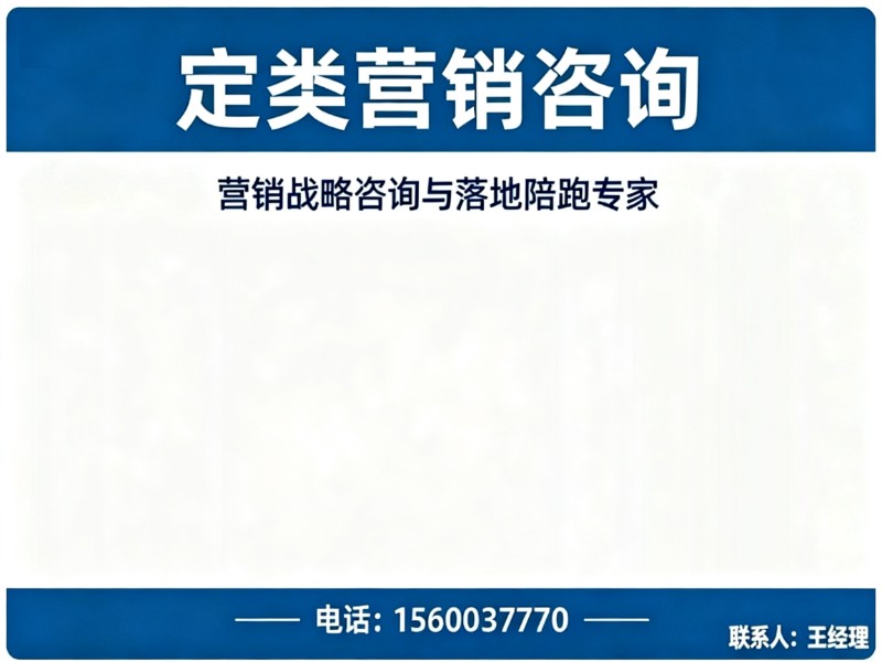 定类营销咨询