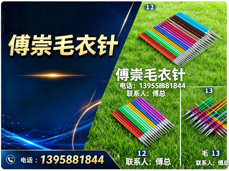 傅崇毛衣针蚌埠站