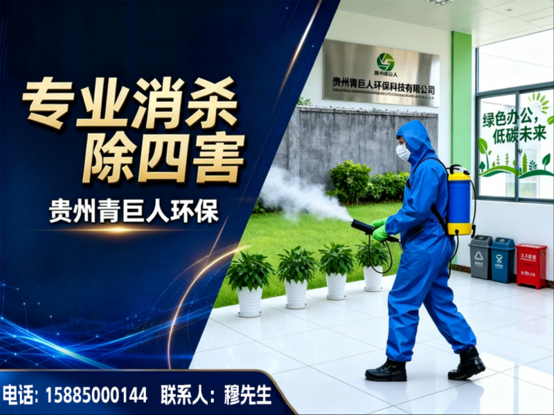 贵州青巨人龙泉站