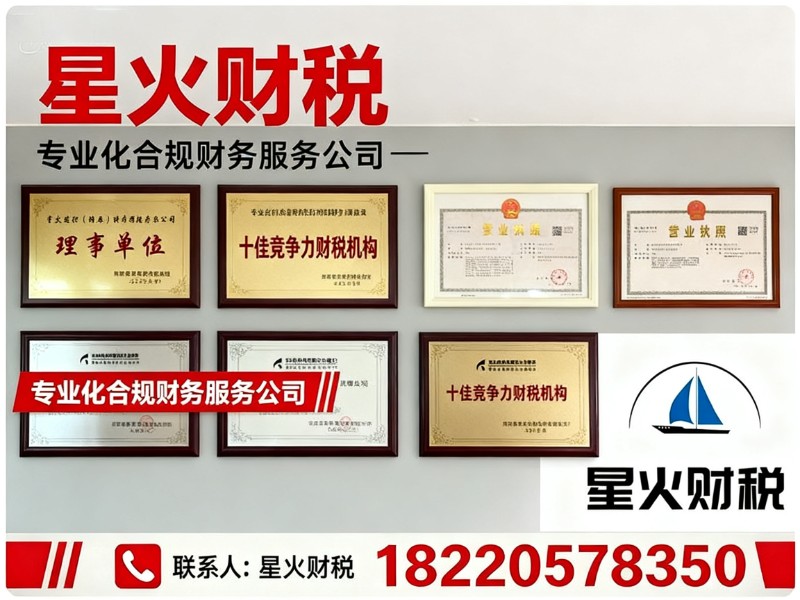 星火财税周至线上分站