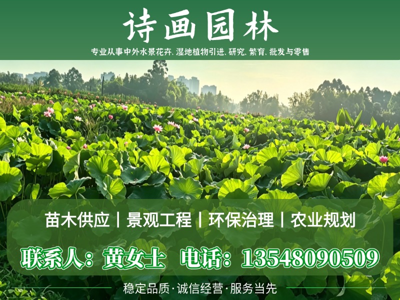 诗画园林