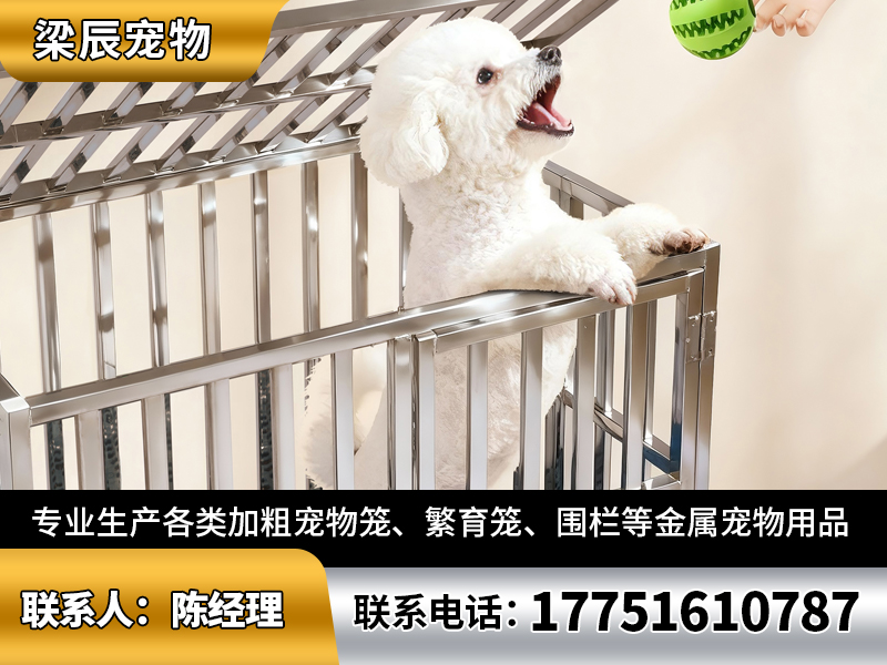 梁辰