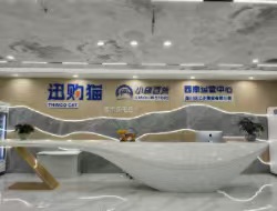 迅购猫