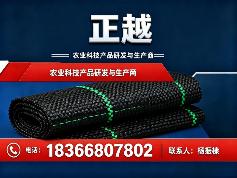 正越