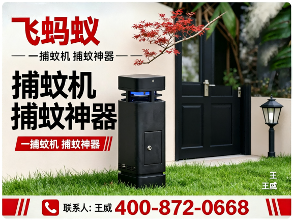 飞蚂蚁