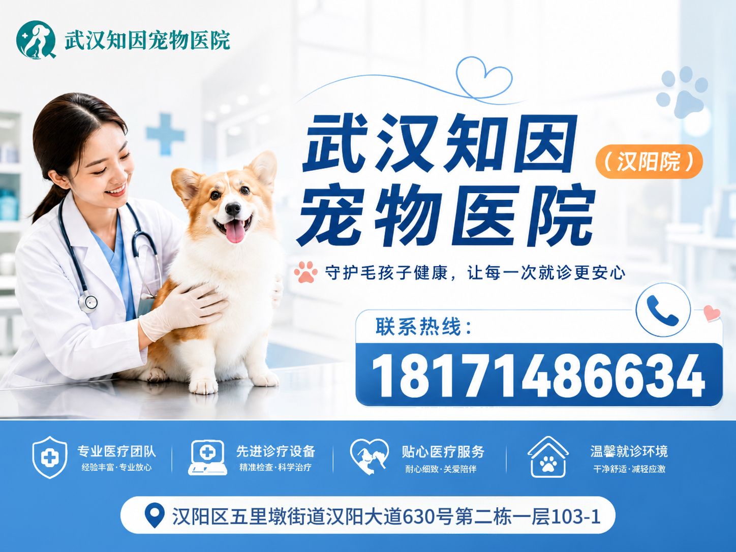 知因宠物（汉阳院）