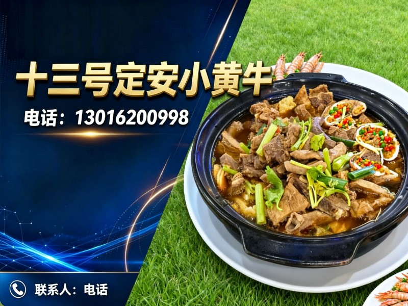 十三号小黄牛