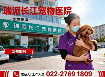 瑞派长江宠物医院西于庄站