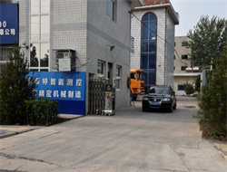 泰斯特