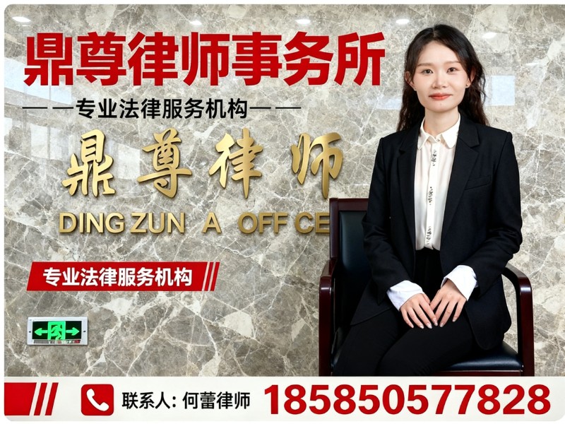鼎尊律师事务所
