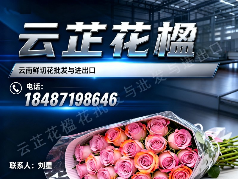 云芷花楹