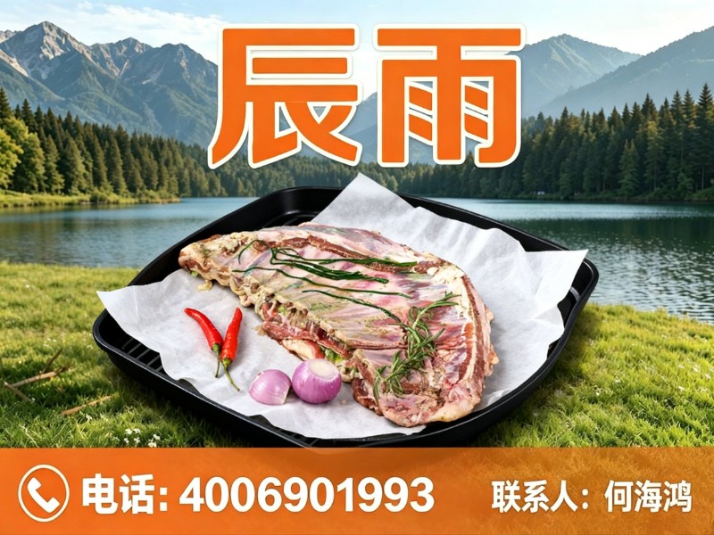 辰雨分站
