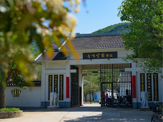 青峰云雾茶业分站