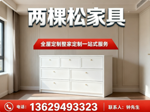 两棵松家具彝良站