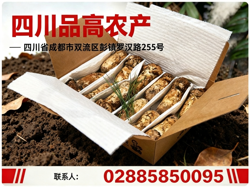 品高农产阿坝站