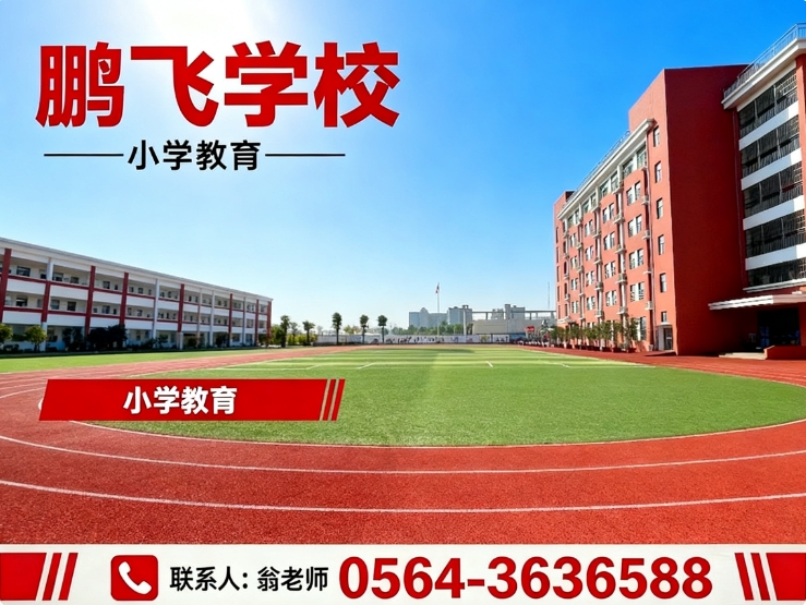 六安市鹏飞学校合肥线上分站