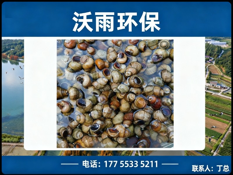 沃雨环保