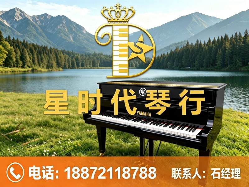 星时代琴行分站