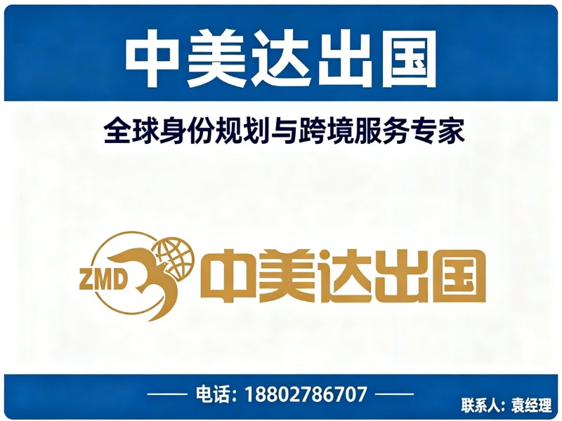 中美达出国