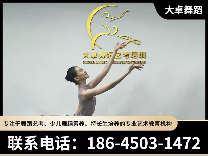 大卓舞蹈曲线站