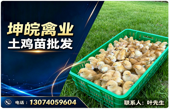 坤皖禽业