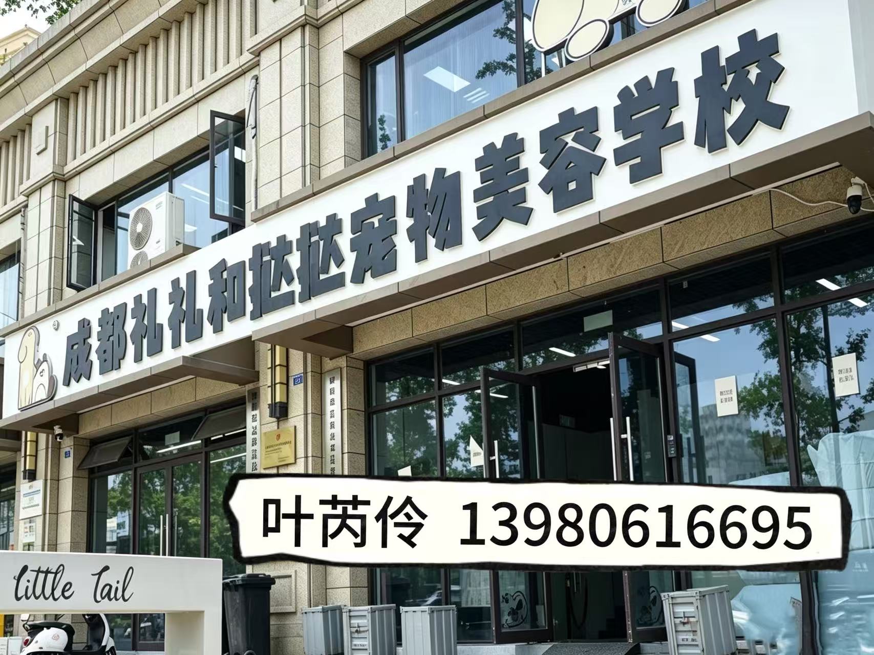 礼礼和挞挞