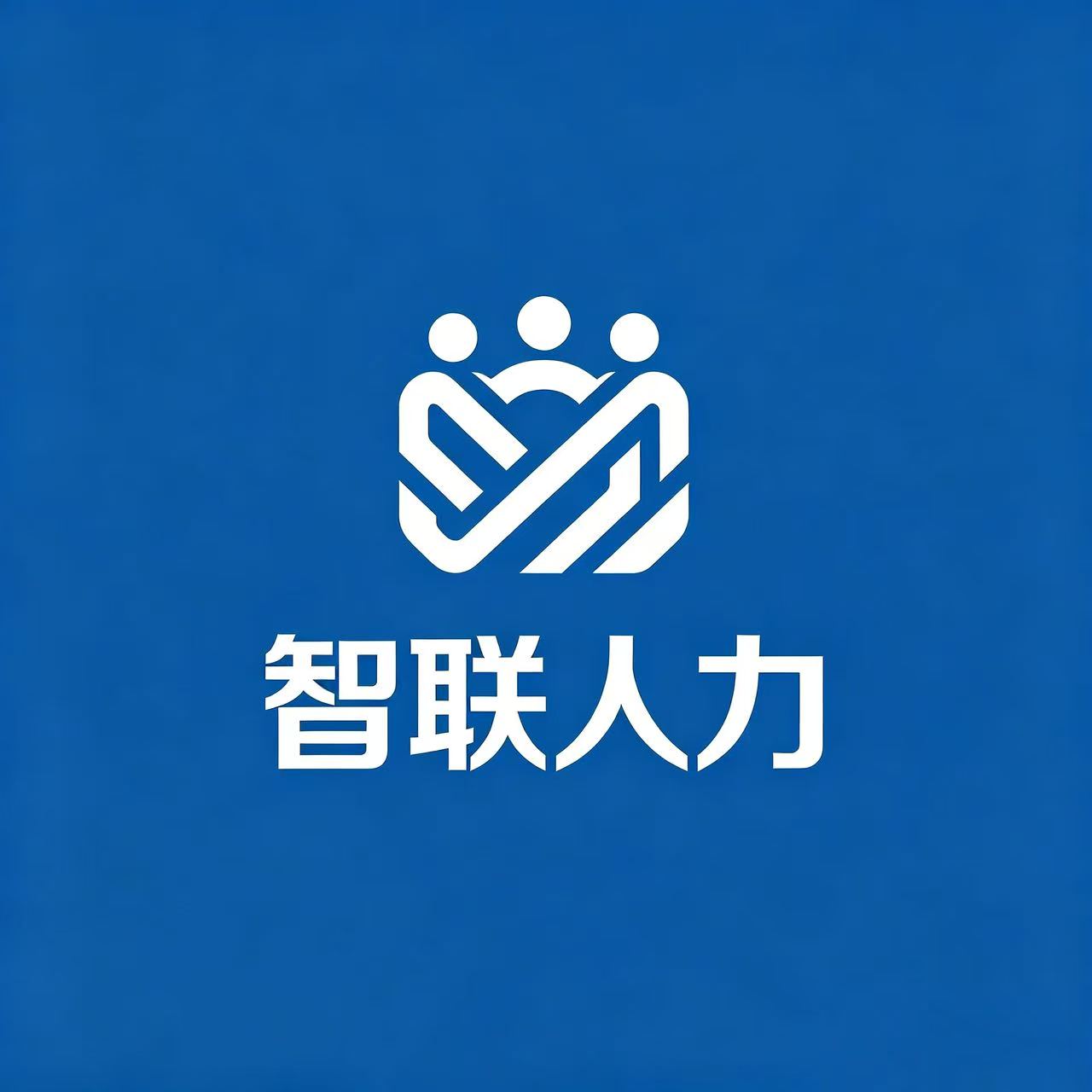 临沂智联人力分站