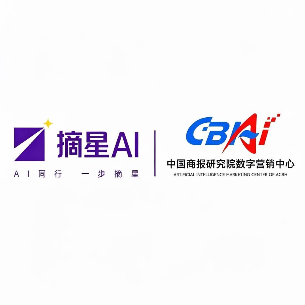 摘星网络科技