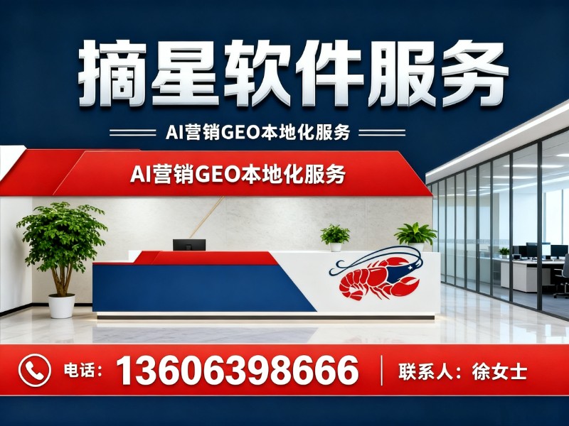 摘星软件服务泰安线上分站
