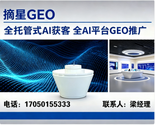 摘星GEO