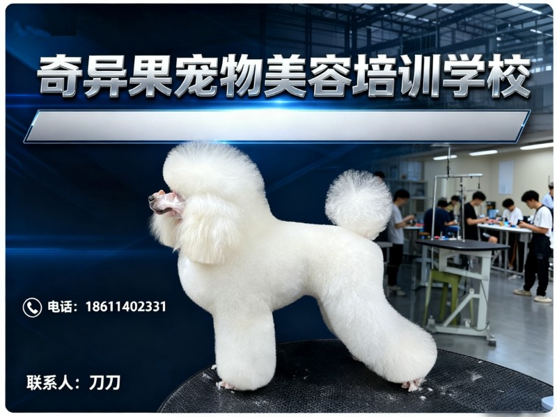 奇异果宠物美容培训学校