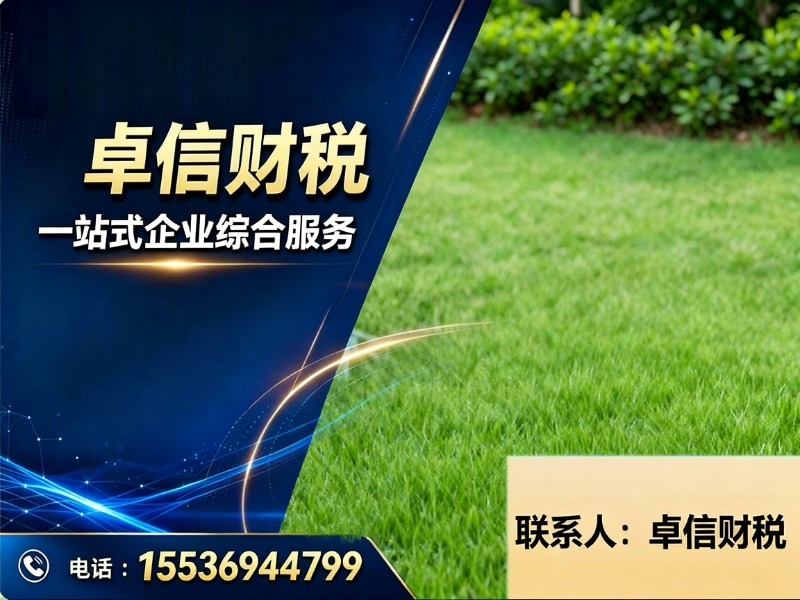 卓信财税