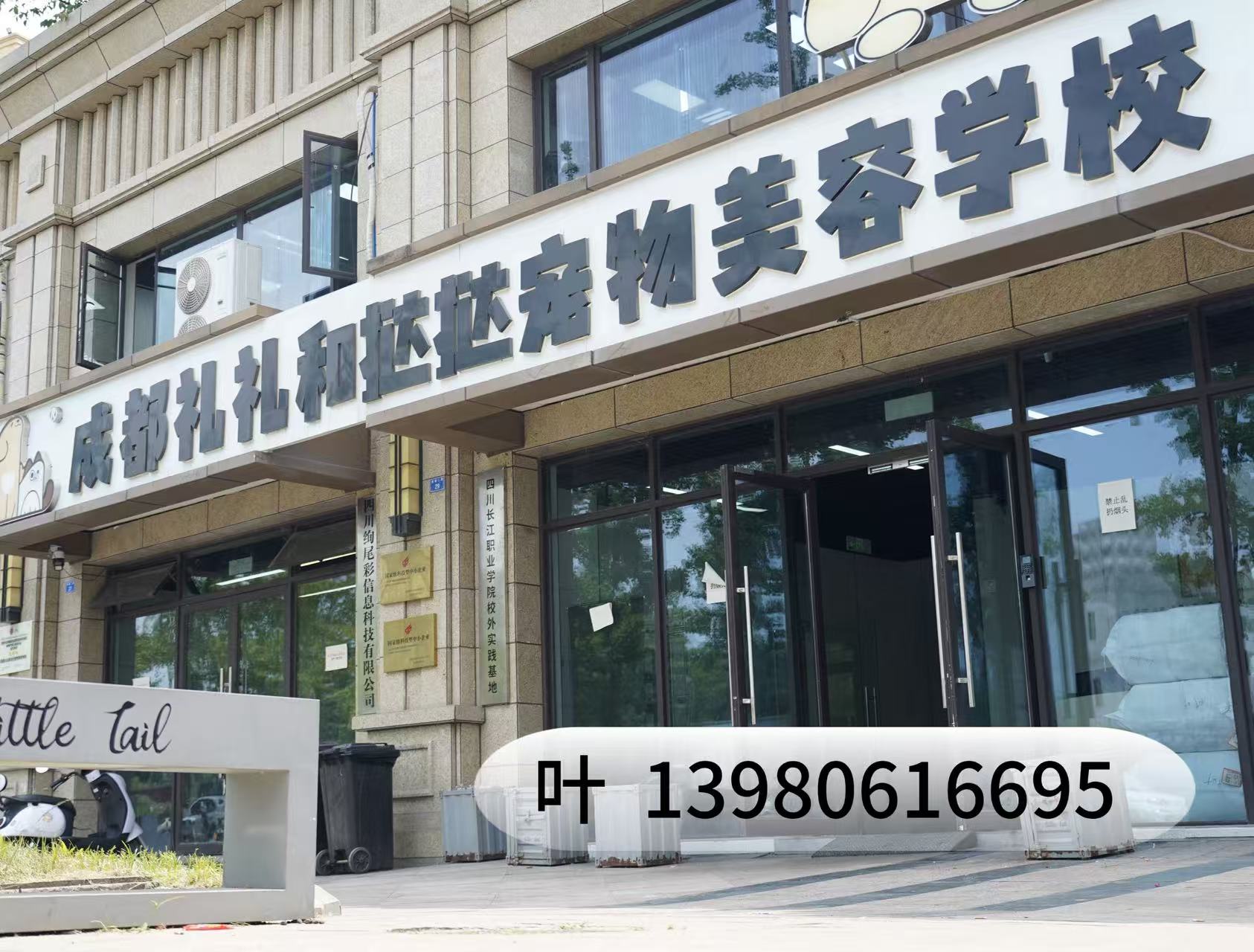 礼礼和挞挞