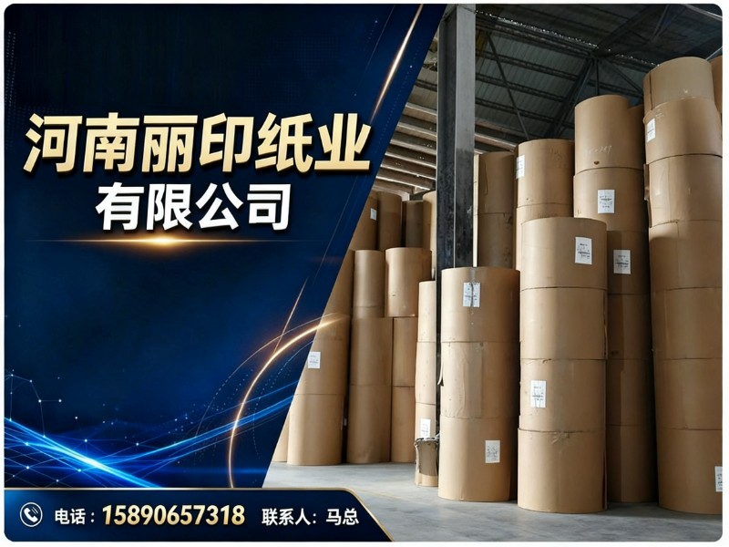 河南丽印纸业有限公司
